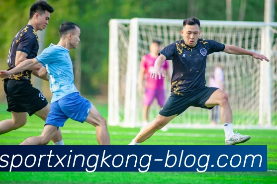 星空体育平台生态图